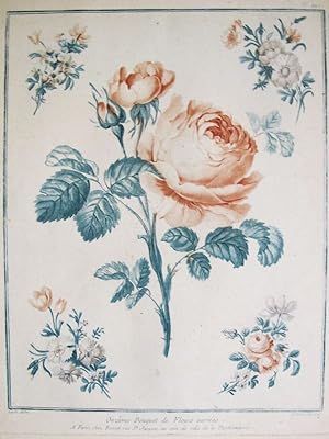 Principes de Fleurs Coloriées - Onzième Bouquet de Fleurs Variées