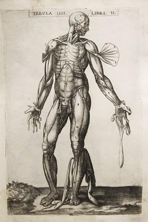 Imagen del vendedor de Historia de la composicin del cuerpo humano - Tab. IIII. Lib. II. a la venta por Frame