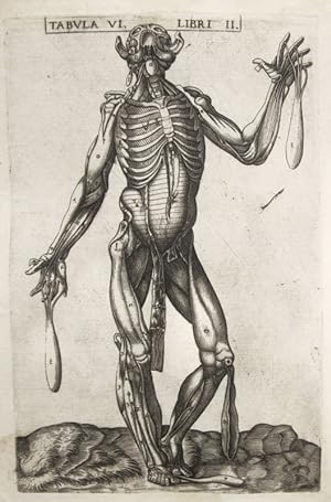 Immagine del venditore per Historia de la composicin del cuerpo humano - Tab. VI. Lib. II. venduto da Frame