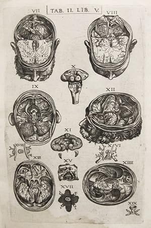 Seller image for Historia de la composicin del cuerpo humano - Tab. II. Lib. V. for sale by Frame