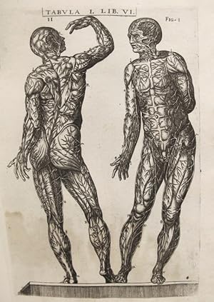 Immagine del venditore per Historia de la composicin del cuerpo humano - Tab. I. Lib. VI. venduto da Frame
