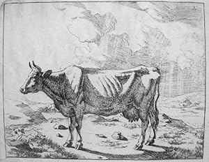 Seller image for Serie de Ganadera - vacas, n 2 for sale by Frame