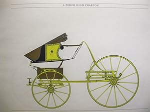 A Treatise on Carriages - A Perch High Phaeton