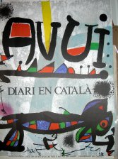 Avui Diari en Catala