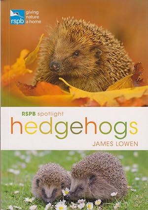 Seller image for HEDGEHOGS. By James Lowen. RSPB Spotlight series. for sale by Coch-y-Bonddu Books Ltd