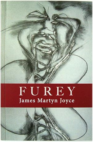 Seller image for Furey for sale by PsychoBabel & Skoob Books