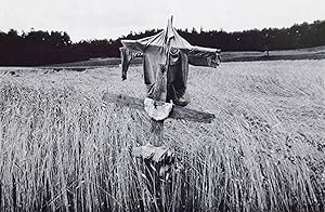 Landschaften. Fünfzehn Gedichte mit sieben Fotos von Peter Danninger.