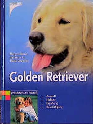 Bild des Verkufers fr Golden Retriever zum Verkauf von Versandantiquariat Felix Mcke