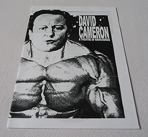 Immagine del venditore per David Cameron: A Theatre of Knife-Songs venduto da Test Centre Books