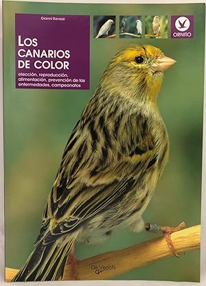 Los canarios de color (Animales)