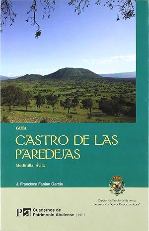 Image du vendeur pour Castro de las Paredejas. Medinilla, vila mis en vente par Imosver