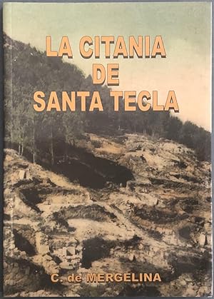 La Citania de Santa Tecla