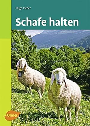 Schafe halten