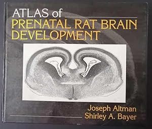 Atlas of Prenatal Rat Brain Development