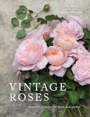 Immagine del venditore per Vintage Roses : Beautiful Varieties for Home and Garden venduto da GreatBookPricesUK