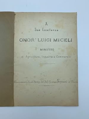 A Sua Eccellenza onor. Luigi Miceli Ministro di Agricoltura, Industria e Commercio. Memoria sulle...