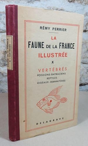 Seller image for La faune de la France illustre. Tome X : Vertbrs. Poissons (par Lon Bertin), batraciens, reptiles, oiseaux, mammifres. for sale by Latulu