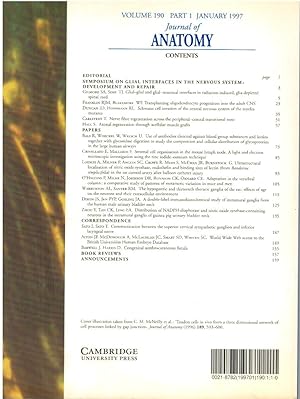 Imagen del vendedor de MOLECULAR, CELLULAR AN EXPERIMENTAL MORPHOLOGY (JOURNAL OF ANATOMY VOLUME 190, PART 1, JANUARY 1997) a la venta por Librera Dilogo