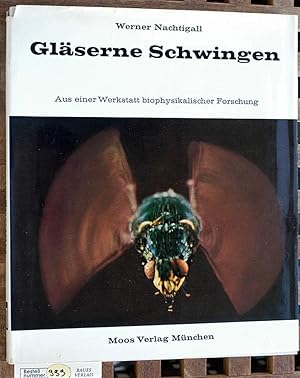 Bild des Verkufers fr Glserne Schwingen. Aus einer Werkstatt biophysikalischer Forschung zum Verkauf von Baues Verlag Rainer Baues 