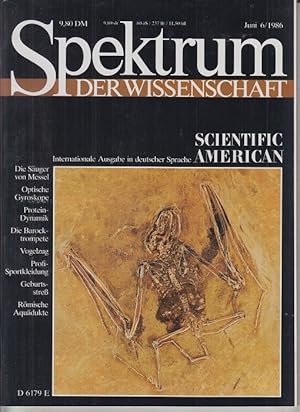 Spektrum der Wissenschaft. Nr. 6 Juni / 1986. Internationale Ausgabe in deutscher Sprache von: Sc...