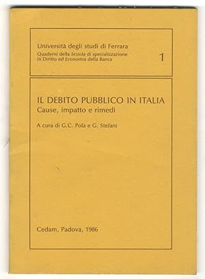 Il debito pubblico in Italia. Cause, impatto e rimedi.