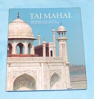 Imagen del vendedor de Taj Mahal a la venta por Bruce Irving