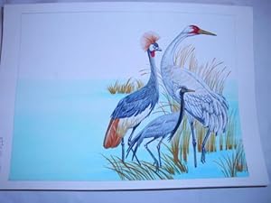 Seller image for Acuarela Original - Original Watercolor : LA GRULLA for sale by LIBRERA MAESTRO GOZALBO