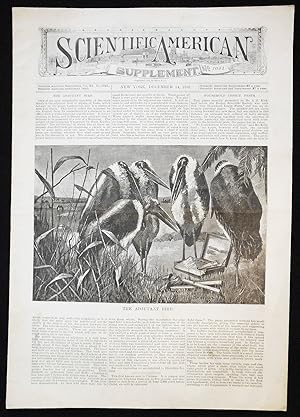 Scientific American Supplement -- No. 1041, Dec. 14, 1895 [railway signaling]