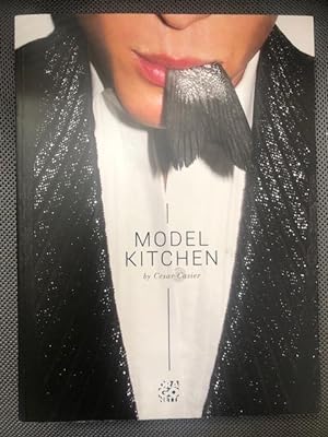 Immagine del venditore per Model Kitchen venduto da The Groaning Board