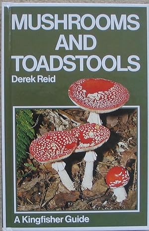 Mushrooms and Toadstools