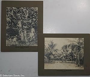 [Two photographs mounted on boards, prepared for the Philadelphia Museums]