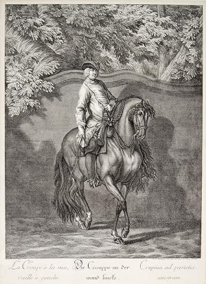 REITER. - Reitschule. "Die Crouppe an der wand lincks". Ein nobles Pferd, gedrungen dargestellt, ...