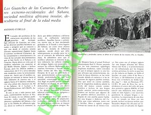 Los Guanches de las Canarias, Berberes extremo-occidentales del Sahara, sociedad neolitica africa...