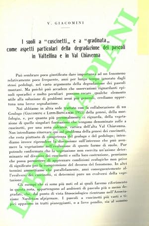 I suoli a  cuscinetti  e a  gradinata  come aspetti particolari della degradazione dei pascoli in...