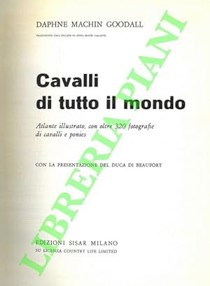 Cavalli di tutto il mondo.