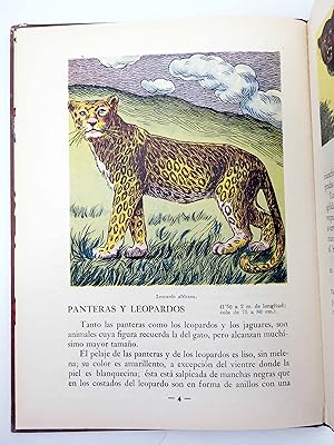 LOS ANIMALES Y SUS COSTUMBRES 1 A 6. COMPLETA (Vvaa) Dalmau Carles Pla, 1957. OFRT