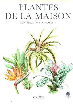 Seller image for Plantes de la maison for sale by JP Livres