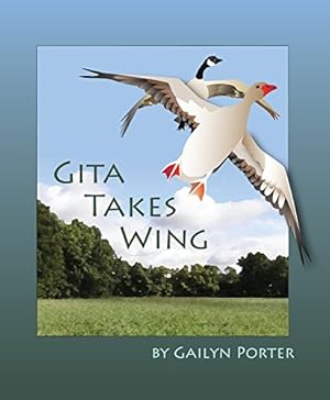 Seller image for Gita Takes Wing by Porter, Gailyn [Paperback ] for sale by booksXpress