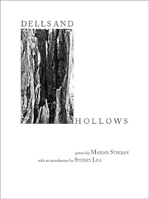 Seller image for Dells and Hollows (91st Meridian Books) by Strojan, Marjan [Paperback ] for sale by booksXpress