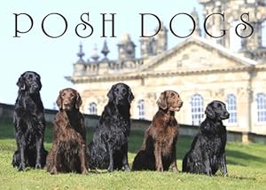Image du vendeur pour Posh Dogs by Pimpernel Press [Hardcover ] mis en vente par booksXpress