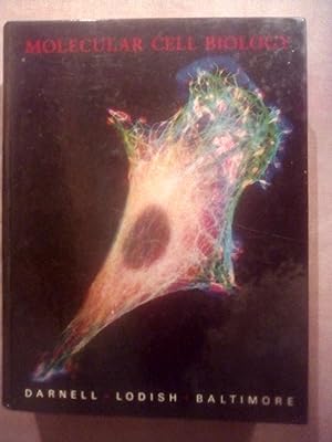 Bild des Verkufers fr Molecular Cell Biology zum Verkauf von Imaginal Books