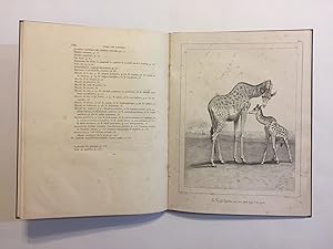 [GIRAFFES - FIRST ANATOMICAL STUDY]. Recherches historiques, zoologiques, anatomiques et paléonto...