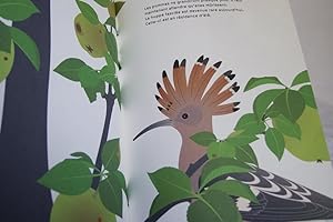 Imagen del vendedor de L'OISEAU SUR LA BRANCHE a la venta por Librairie RAIMOND