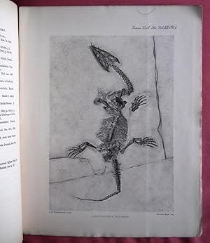 Bild des Verkufers fr On a Nothosaurian Reptile from the Trias of Lombardy, apparently referable to Lariosaurus. TOGETHER WITH : LANKESTER, E. Ray. On the Lepidosiren of Paraguay, and on the external characters of Lepidosiren and Protopterus. zum Verkauf von Patrick Pollak Rare Books ABA ILAB