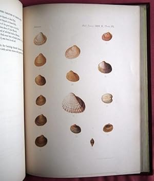 Bild des Verkufers fr On Some Variations of Cardium edule apparently Correlated to the Conditions of Life. Communicated by ADAM SEDGWICK. zum Verkauf von Patrick Pollak Rare Books ABA ILAB