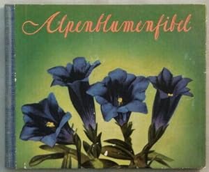 Imagen del vendedor de Alpenblumenfibel. Mit Farbenphotos der 64 sch�nsten Bergblumen nach der Natur aufgenommen. a la venta por KULTur-Antiquariat