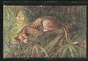 Image du vendeur pour Knstler-Ansichtskarte Leopard verbirgt sich im Unterholz des Dschungels mis en vente par Bartko-Reher
