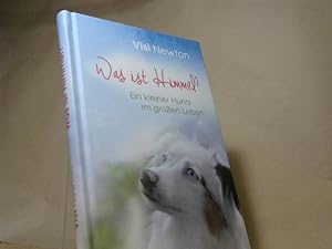Bild des Verkufers fr Was ist Himmel? : ein kleiner Hund im groen Leben. zum Verkauf von BuchKaffee Vividus e.K.