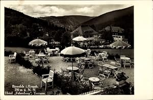 Immagine del venditore per Ansichtskarte / Postkarte Brenfels Altenberg im Erzgebirge, Hotel Felsenburg, Terrasse venduto da akpool GmbH