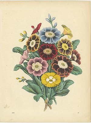 Antique Print of Flowers (1856)